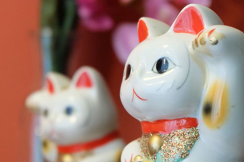 屬兔火命適合帶金嗎,屬兔的缺金適合帶什麼飾品