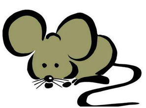 屬鼠可以起帶火的名會怎麼樣,如何給女寶寶取個響亮的名字?屬鼠的寶寶,五行缺火,是女孩子哦!