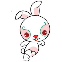 兔的生肖屬水還是屬金,屬兔的人戴玉還是戴金?