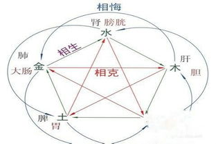 暖屬於五行屬什麼,關於五行屬性