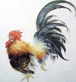 男屬蛇女屬雞金克火怎麼辦,男的屬蛇和女的屬雞的能相配嗎