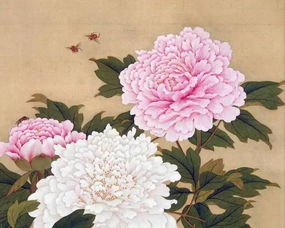 牡丹畫五行屬木還是屬火,牡丹這兩個字是五行屬性里的哪個?