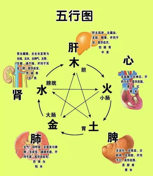 艾友薈五行能量貼,屬性相剋有解決的辦法嗎