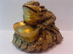 五行屬火可以擺金蟾嗎,金蟾的擺放