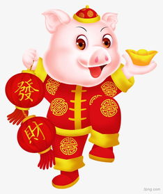 五行屬金的豬帶什麼好,1971年出生的豬五行屬金跟屬什麼犯沖54