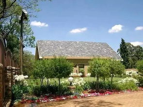 屬猴金命住幾層樓好,屬猴住幾樓最好