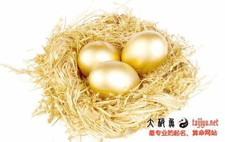 豬寶寶男孩屬金名字,姓金的男孩名字屬豬年出生最好的