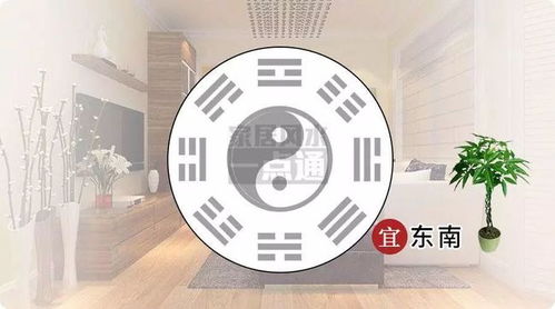 五行屬木跟火合適的檔口名,五行即屬木又屬火的字