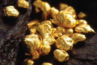 金型人五行屬什麼,金五行屬什麼