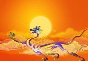 7月份屬龍的男人是金命嗎,大師,請幫我看一下我和男友的八字合不合農歷：我的：1982年7月