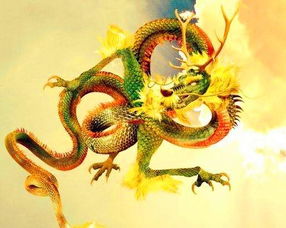 屬龍的金命人適合戴什麼首飾,屬龍人佩戴什麼飾品好