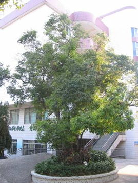 廣州火村屬哪個區,廣東省廣州市蘿崗區火村的郵政編碼是多少