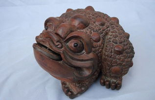 屬鼠的金蟾擺在什麼方位,金蟬擺放有哪些講究巧擺放好財運