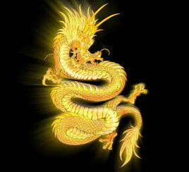 誰能一夜十三次火土木屬蛇,五侯蠟燭打一生肖