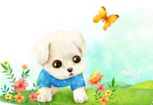 狗寶寶女孩屬金哪個字好,鼠年女寶寶取什麼名字好