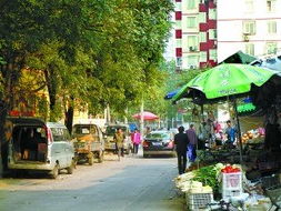 永樂鎮金橙街屬哪個社區,永樂鎮的村情簡介