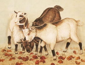 91屬羊人適合佩戴金蟾,1991的羊應該佩戴些什麼運氣好