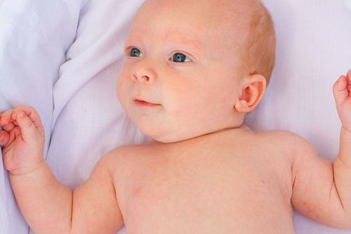 屬羊男孩缺金缺火取什麼名字,屬羊的男孩缺金缺火,該怎麼取名