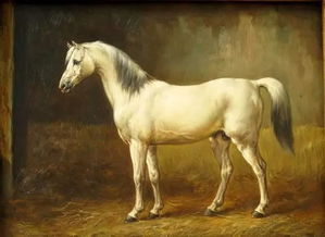 孫金糧屬馬名字起得大不大,性周的屬馬的男孩名字