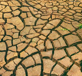 五行屬土需要木火,五行是土土土火木土請問缺什麼,忌什麼?搜狗問問