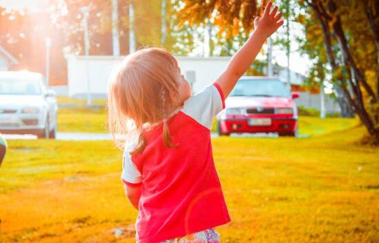 16筆畫屬木和火的名字,五行屬木和火的名字