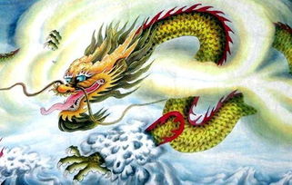 屬龍火命的人性格剛烈,性格剛烈倍精神指什麼生肖