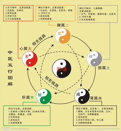 中原五行中醫門診,中原五行中醫研究院是騙人的