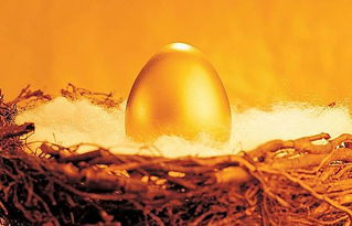 屬金是命里金旺盛嗎,五行金多代表什麼