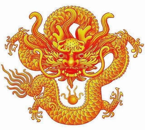 屬牛的八字缺火缺金怎麼做,五行缺金火我該怎麼補