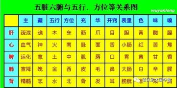 五臟五行五穀對照表,中醫五臟與五穀 五神 五情 五味的對應