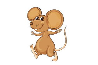 屬鼠的1996是什麼火,屬鼠1996年生是什麼命