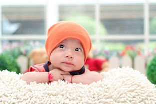 屬馬女寶寶出金起名大全,李曼可取女孩子的名字好嗎