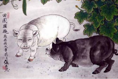 馬屬火為何帶金蟾,金蟾代表十二生肖哪一個