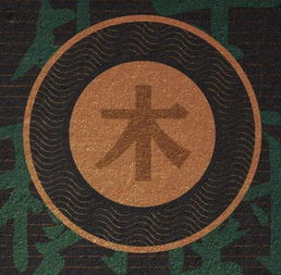 五行屬火木的名字哪些,五行屬木屬火的所有字?取名