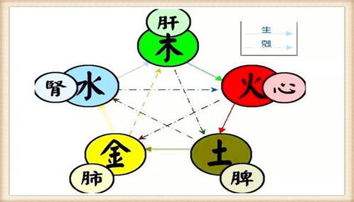 五行屬金跟五行屬水,請問五行中屬金和屬水的字有哪些