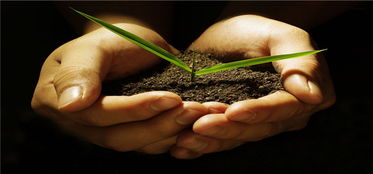 屬金帶水帶土的字大全,求帶水帶土的男孩名字姓賀,是今天早晨5點半的生日,缺水和土愛問