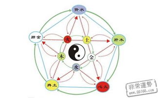 公務員在五行中屬木還是屬火,木?水?火?土?如何知道自己屬於五行中的哪