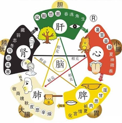 五行五臟五味對應圖表,李德新中醫理論基礎里五行五味五髒的圖表