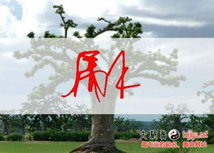 屬水和屬金的字組合好嗎,取名字金屬性或者水屬性的chen或者cheng有哪些?前面再搭配那個字