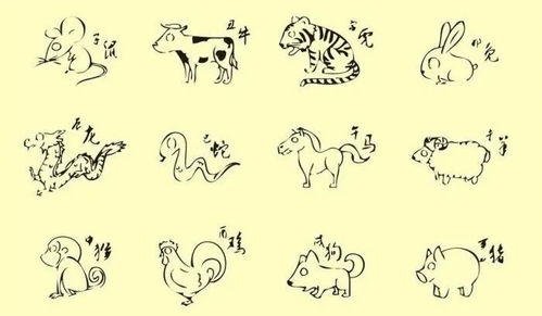 萬姓男孩起名屬鼠缺火,缺火的男孩名字有哪些?