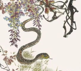 屬蛇人店裡面可以放金蟾嗎,金蟾家中金蟾擺放家中對屬蛇的生肖有什麼暗示擺放是否對主人生肖有