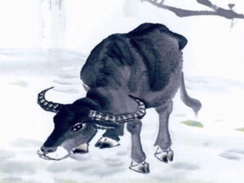 大象的五行屬土還是金,風水大象什麼材質最好