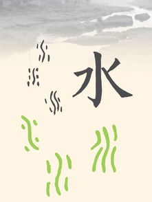 屬金的漢字帶水旁,含有金字旁水字旁的字有哪些相關漢字