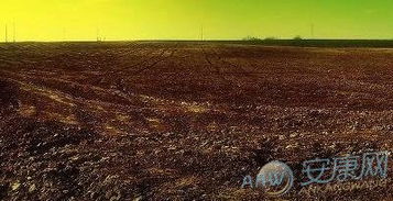 沙漠金五行屬土嗎,煩請高手們舉出金木水火土五行的代表顏色跟代表物品,衷感!