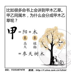 十天干屬陽火的是什麼,[轉載]學算命必讀:十天干代表什麼之丙火 丁火