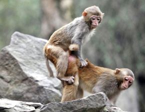 屬土的選屬火還是金,金木水火土,五行是這樣排行,火克金嗎