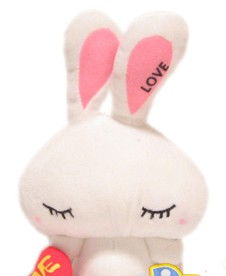 金命屬兔女孩起名,兔年一月份出生的女孩姓馬叫什麼名字好聽