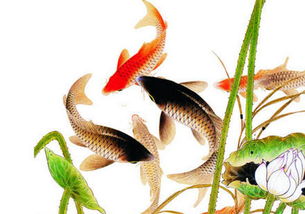 五行屬火能紋鯉魚嗎,請問陽歷1955年3月28日出生的人五行屬什麼?家裡想養缸風水魚愛問