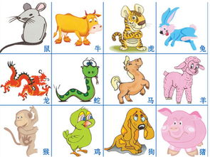 屬金十二生肖有哪些,金的生肖是什麼