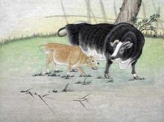 1973屬牛的人是什麼水命,屬牛1973年出生是什麼命